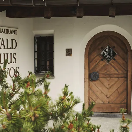 Waldhuus 4* 达沃斯